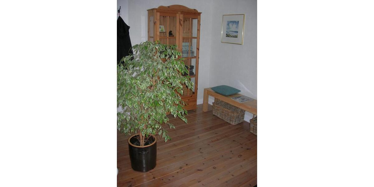 Bauernhaus, Landhaus Hamburg Wandsbek - 6 Zimmer, 128 m&sup2;, 365.000&euro; | Angebot:27200693