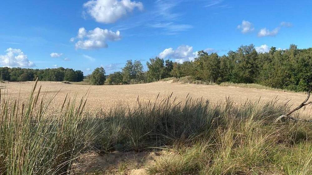 Etagenwohnung Hamburg Lohbrügge - 3 Zimmer, 96 m&sup2;, 594.950&euro; | Angebot:26156018