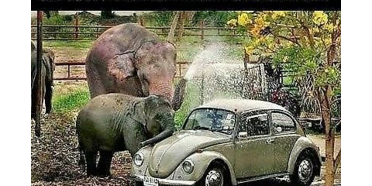 VW Polo 6R 1.2 *Sound&Cool* Klimaautomatik 2.Hand 189.000 km 4.200 &euro; Seevetal - Hittfeld 21218