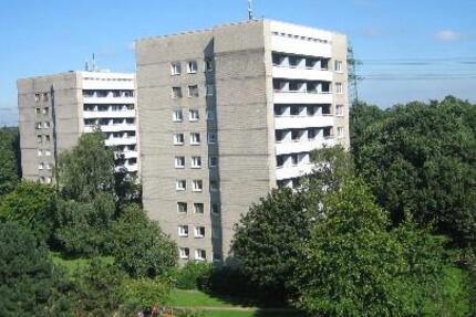 Schöner Wohnen in einer interessanten 1-Zi.-Single-Wohnung 1 zimmer