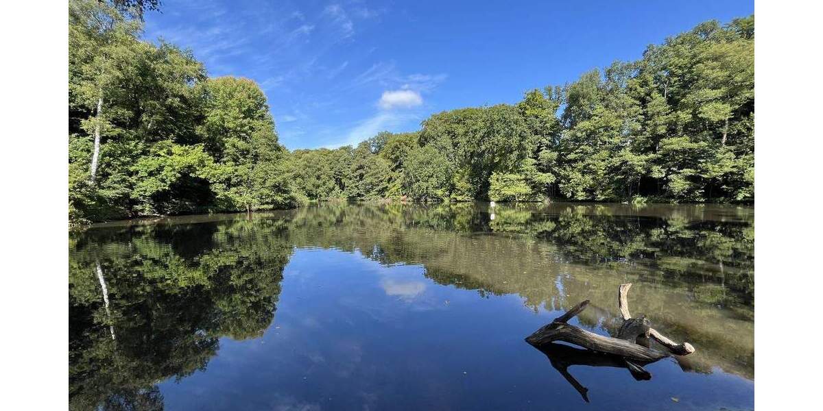 Grundstück Hamburg Wohldorf-Ohlstedt - 640.000&euro; | Angebot:24407886