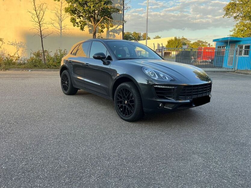 Macan
