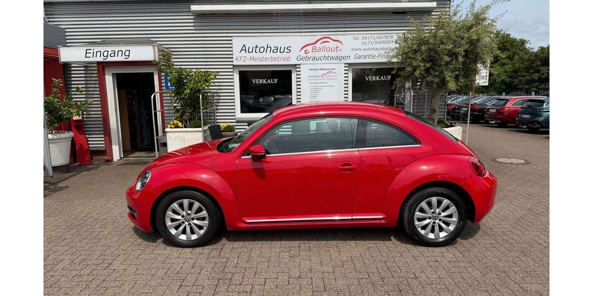 VW Beetle 68.000 km 9.450 &euro; Winsen (Luhe). 21423