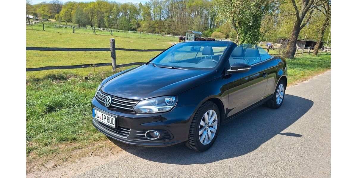 VW Eos 75.000 km 9.900 &euro; Winsen 21423