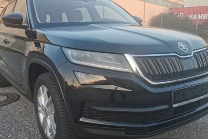 Skoda Kodiaq 160.000 km 18.990 &euro; Neu Wulmstorf 21629