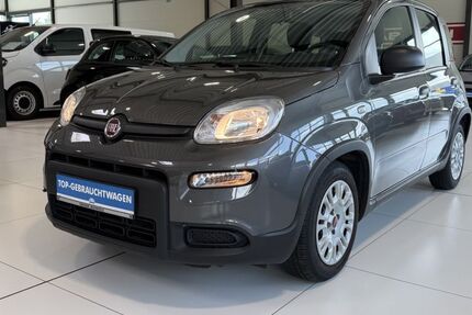 Fiat Panda 8.054 km 11.490 &euro; Buchholz in der Nordheide 21244