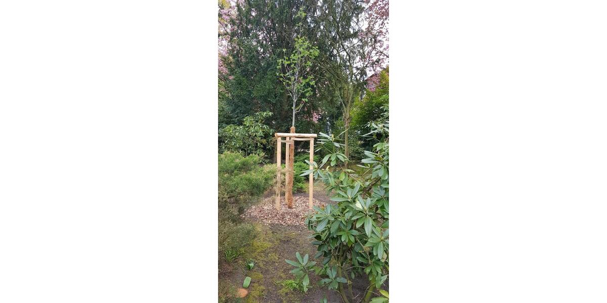 Etagenwohnung Hamburg Uhlenhorst - 1 Zimmer, 21 m&sup2;, 770&euro; | Angebot:26215326