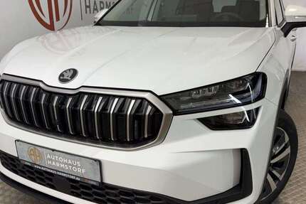 Skoda Kodiaq 1.050 km 38.890 &euro; Harmstorf 21228