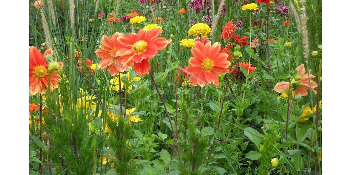 Großzügiges Baugrundstück im grünen Hamburg-Niendorf zimmer
