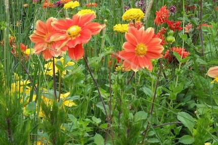 Grundstück Hamburg / Niendorf Niendorf - 589.000&euro; | Angebot:22968571