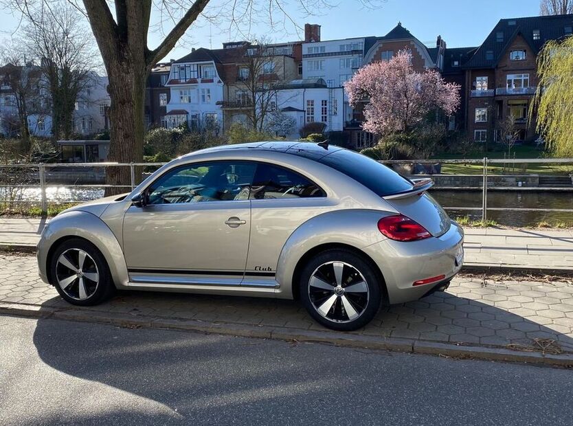 Beetle