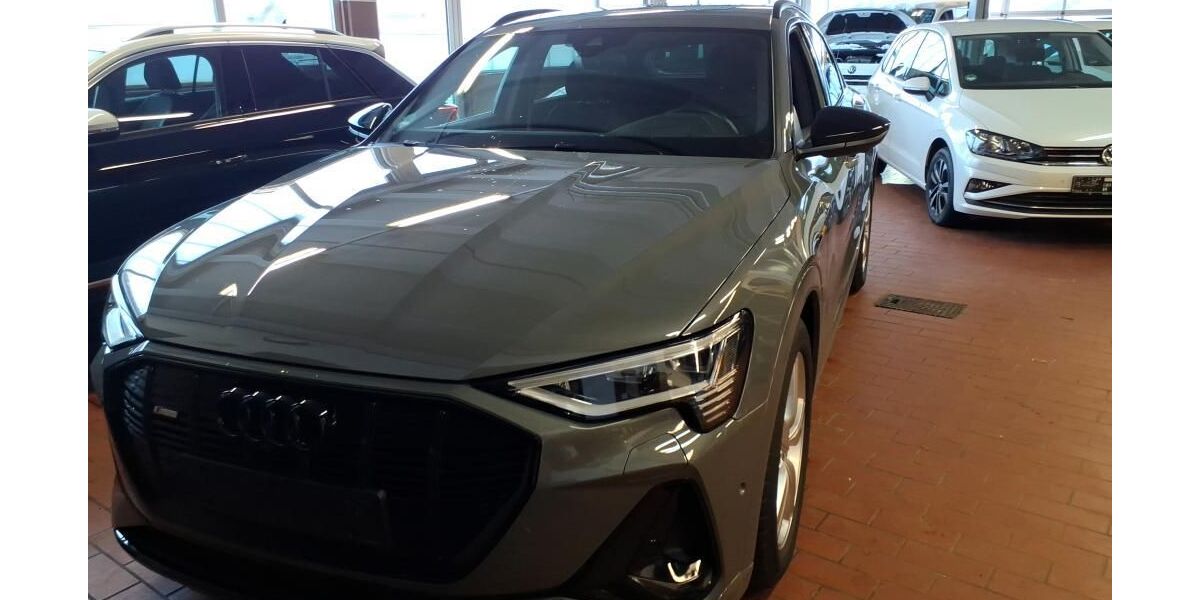Audi e-tron 56.101 km 39.990 &euro; Hamburg 22047