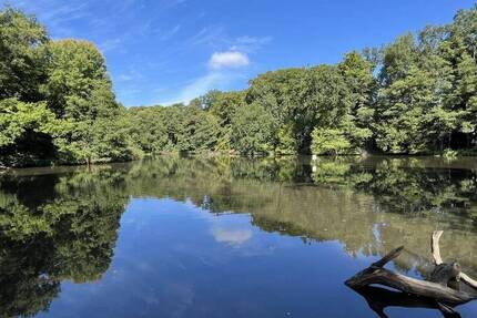 Natur pur direkt nebenan und dennoch zu Fuß zur U1 – Idyllisches Grundstück in ruhiger Lage zimmer