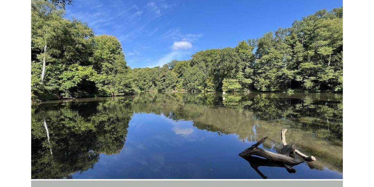 Natur pur direkt nebenan und dennoch zu Fuß zur U1 – Idyllisches Grundstück in ruhiger Lage zimmer