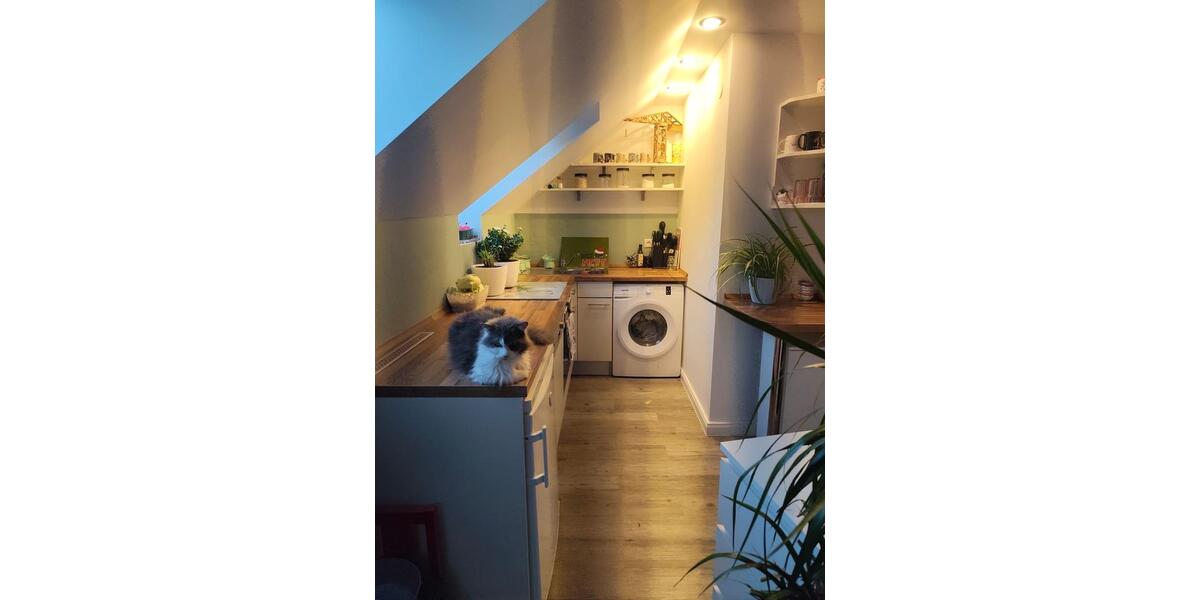 Dachgeschoßwohnung Börnsen - 1.5 Zimmer, 33 m&sup2;, 785&euro; | Angebot:26405403