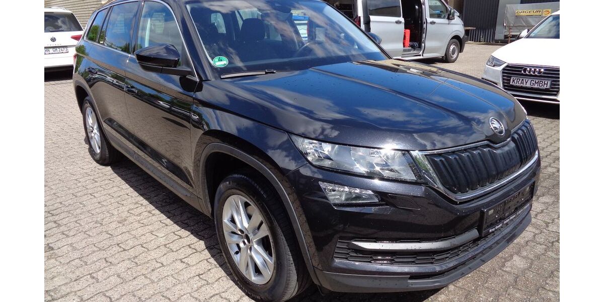 Skoda Kodiaq 117.629 km 20.800 &euro; Hamburg 22399