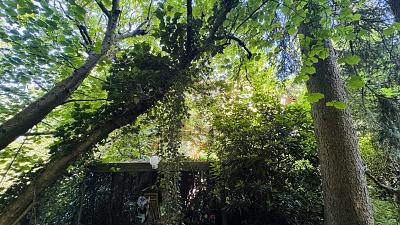 LAGEJUWEL MIT TEICHBLICK AM BERNER GUTSPARK