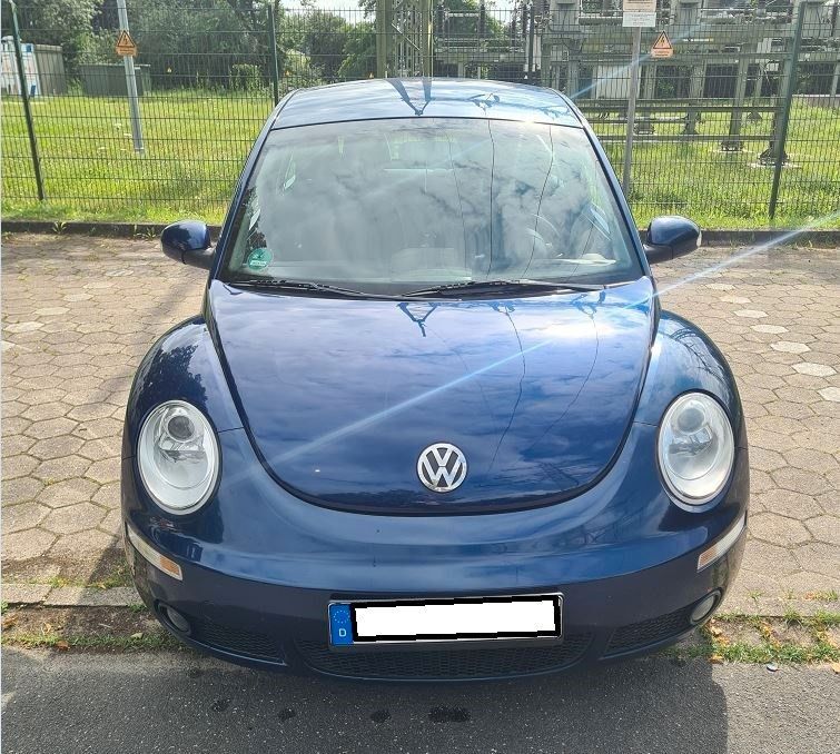 Beetle