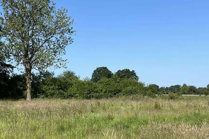 Grundstück zu verkaufen in Prisdorf 600.000 € 798 m²