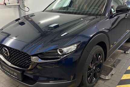 Mazda CX-30 1.583 km 31.490 &euro; Marschacht 21436