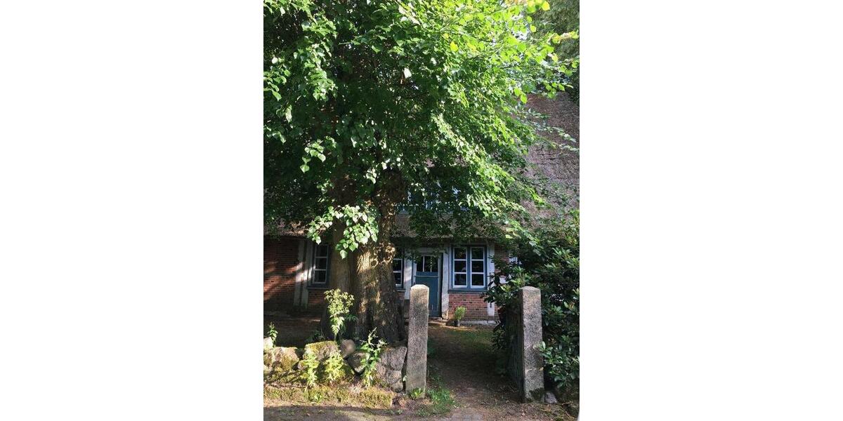 Gewerbeobjekt Hohenhorn - 120&euro; | Angebot:9500628