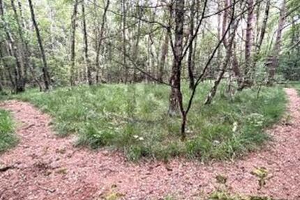 ATTRAKTIV FÜR FREIZEIT ODER IDEAL FÜR PROJEKTIERER - Grundstück Pinneberg | Angebot:25412668