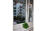 Einfamilienhaus Hamburg Hoheluft-West - 2 Zimmer, 399.000&euro; | Angebot:26401112