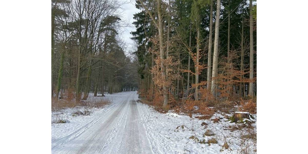 Grundstück Rosengarten Vahrendorf - 350.000&euro; | Angebot:25772258