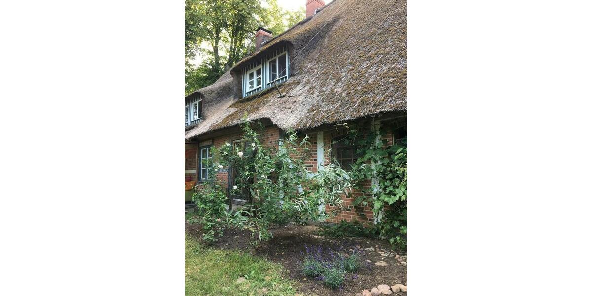 Gewerbeobjekt Hohenhorn - 120&euro; | Angebot:9500628
