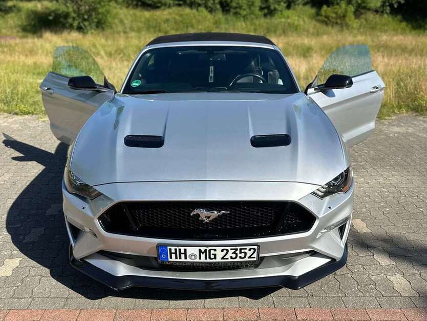 Mustang