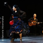 Pasión Flamenca