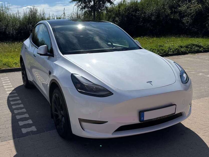 Model Y