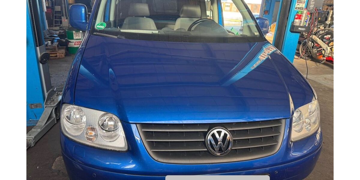VW Caddy Maxi 260.000 km 5.500 &euro; Oststeinbek 22113