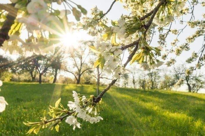 Dein neues Zuhause, direkt am Naturschutzgebiet!