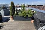 Etagenwohnung Hamburg HafenCity - 4 Zimmer, 104 m&sup2;, 930.000&euro; | Angebot:26820004