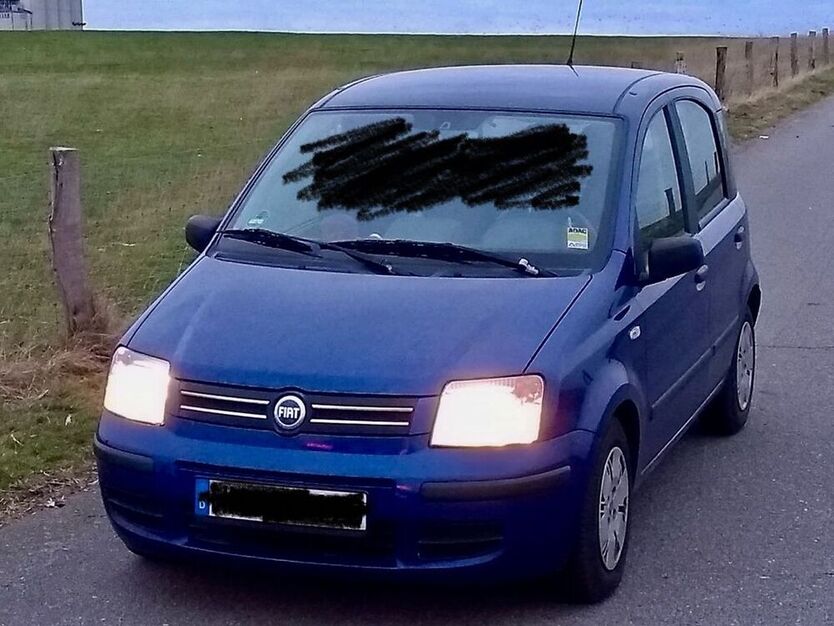 Panda