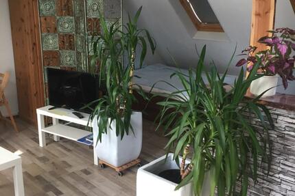 Voll möbliertes Apartment mit Balkon 1 zimmer