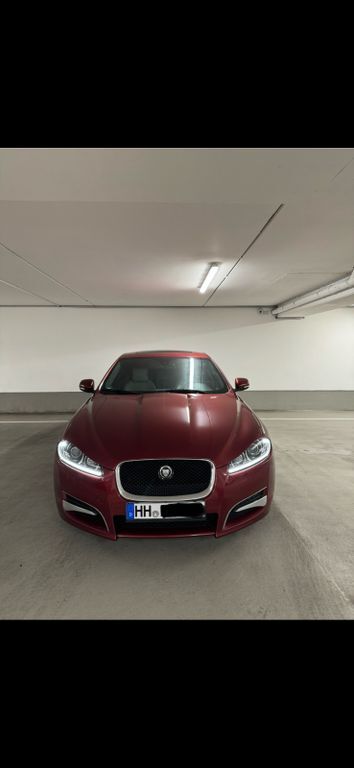 XF