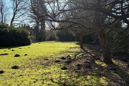 Grundstück Hamburg / Poppenbüttel Poppenbüttel - 775.000&euro; | Angebot:26318171