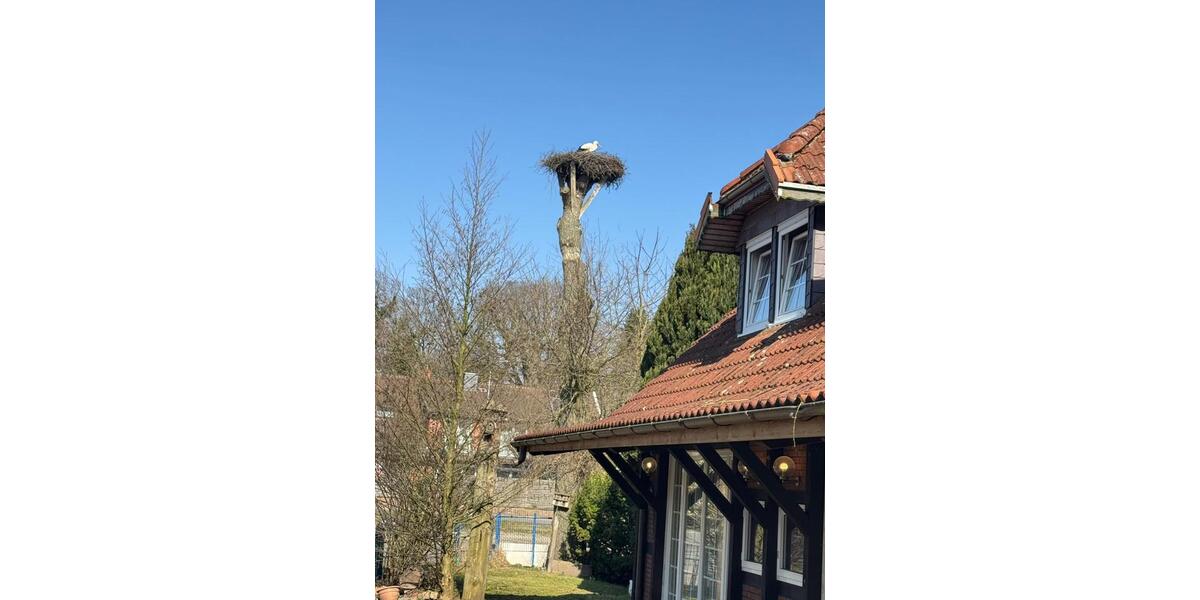 Einfamilienhaus Winsen (Luhe) - 7 Zimmer, 200 m&sup2;, 405.000&euro; | Angebot:27089276