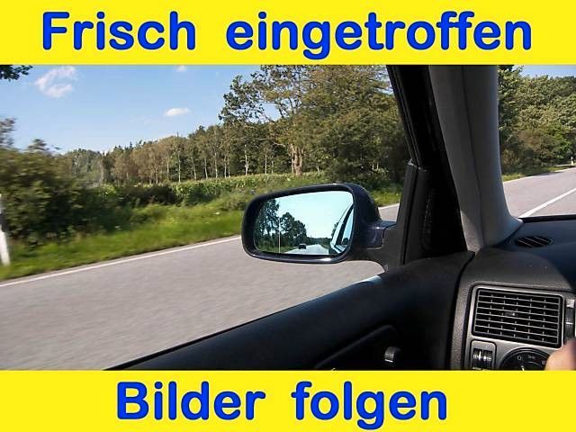 Touareg