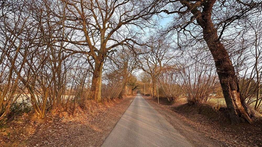 Grundstück Hamburg Lemsahl-Mellingstedt - 740.000&euro; | Angebot:24994620