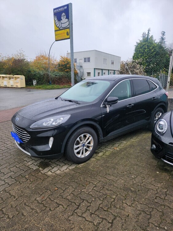 Kuga