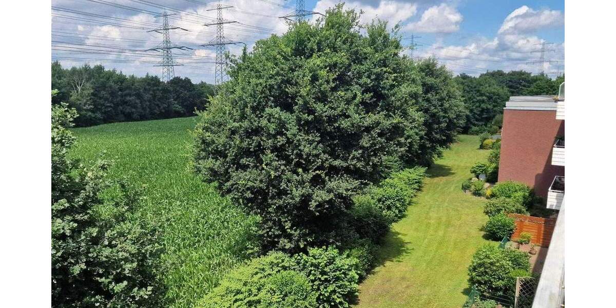 Viel Platz für die Familie. Und direkt an der Natur. 4 zimmer