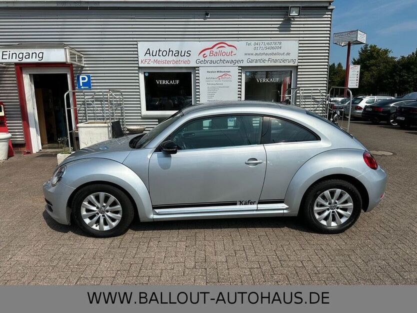 Beetle