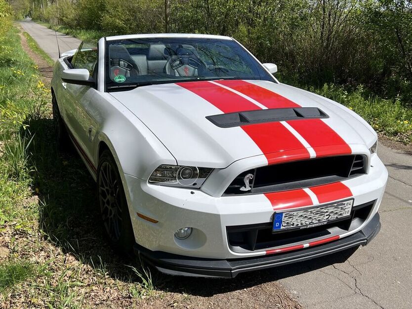 Mustang