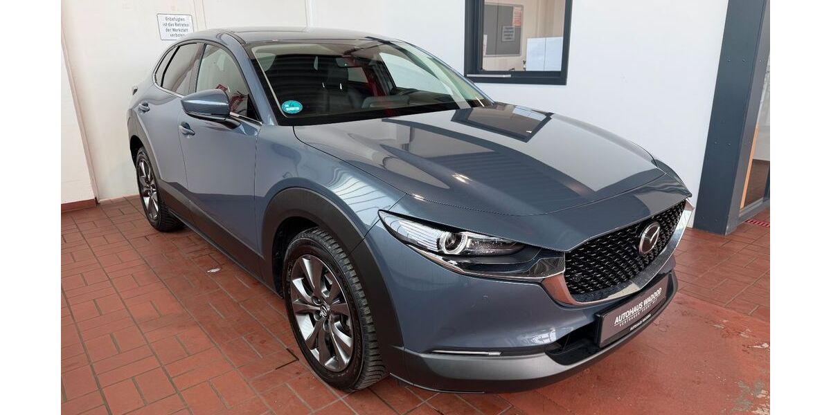 Mazda CX-30 65.392 km 22.400 &euro; Henstedt-Ulzburg (bei Hamburg) 24558