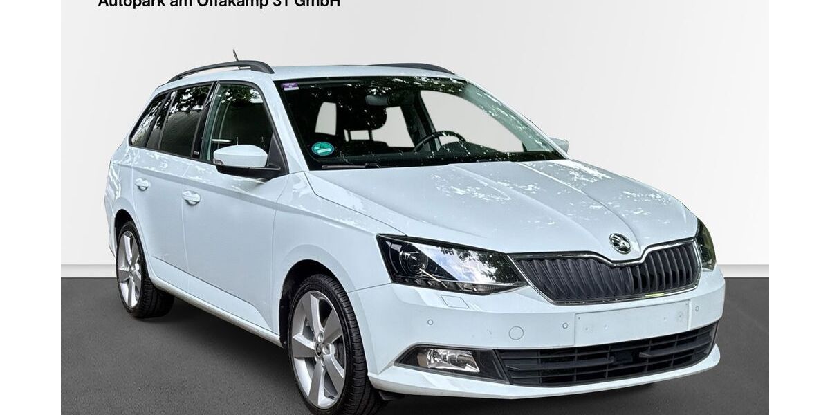 Skoda Fabia 110.500 km 7.790 &euro; Hamburg 22529