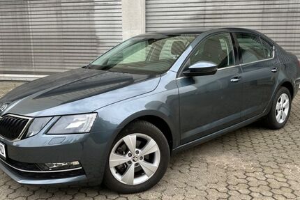 Skoda Octavia 11.000 km 16.995 € Norderstedt bei Hamburg 22844