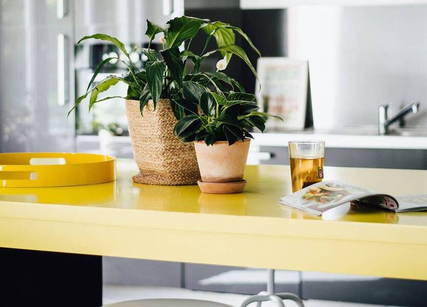 Coworking Arbeitsplätze auf unserem Campus mitten im Grünen - All-in-Miete